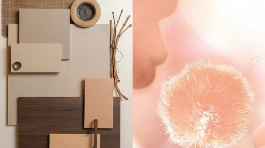 Cor Pantone 2024: Descubra a tendência desse ano